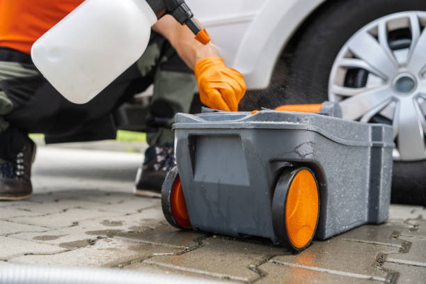 Best Grass Overseeding  in Alamo, CA